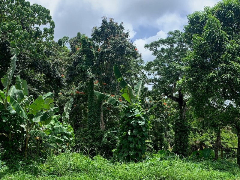 A HUMI Theory-of-Change