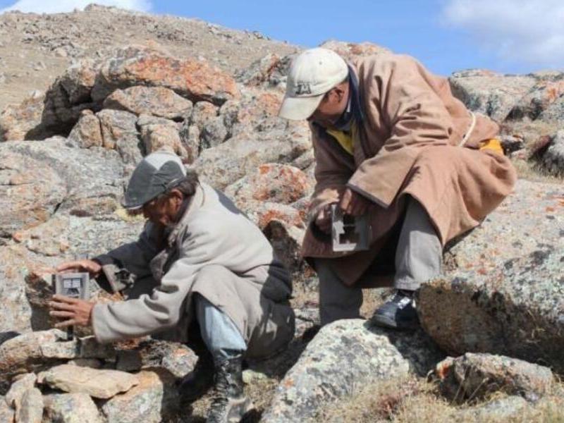 Citizen Science or Science for&nbsp;Citizens