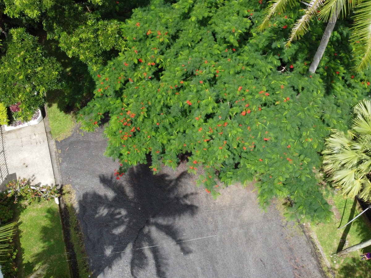 Perfect ‘Disaster’ in HUMI-Suva’s 1st Data&nbsp;Collection