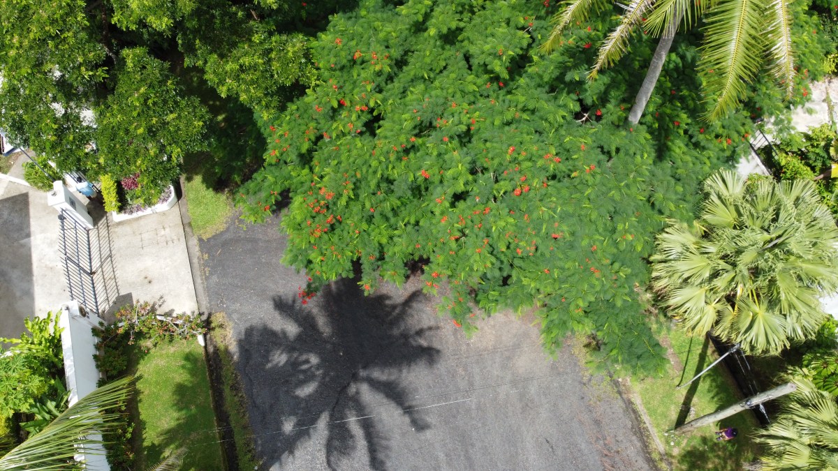 Perfect ‘Disaster’ in HUMI-Suva’s 1st Data&nbsp;Collection